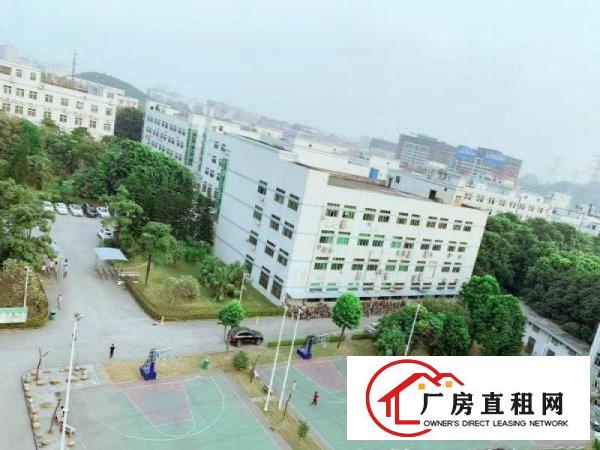  塘厦科苑城高速口500米园L式独院有证厂房对外直招
