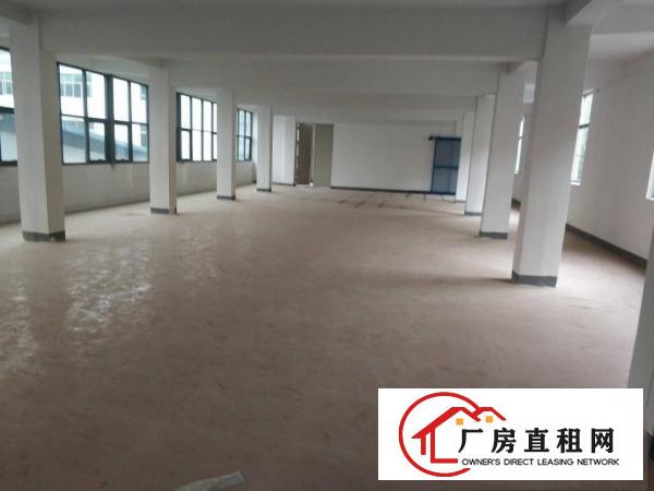  塘厦128工业区全新厂房出租大小可分租2005000平方