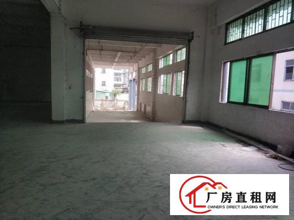  塘厦128工业区全新厂房出租大小可分租2005000平方