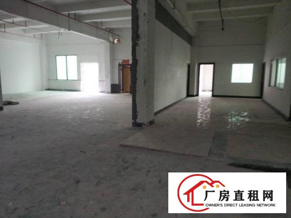  塘厦128工业区全新厂房出租大小可分租2005000平方