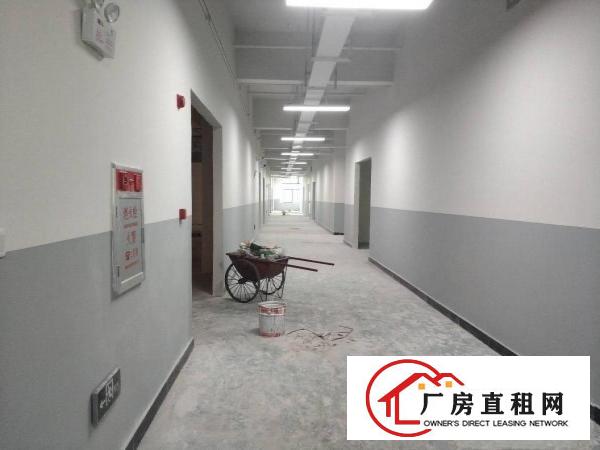  塘厦128工业区全新厂房出租大小可分租2005000平方