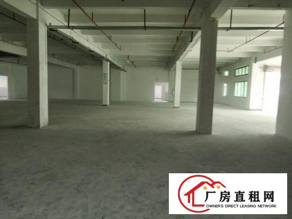  塘厦128工业区全新厂房出租大小可分租2005000平方