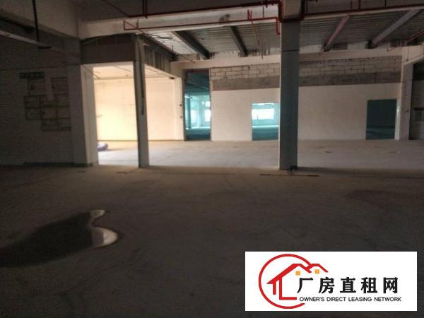  塘厦128工业区全新厂房出租大小可分租2005000平方