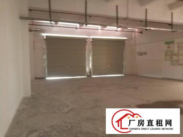  塘厦128工业区全新厂房出租大小可分租2005000平方
