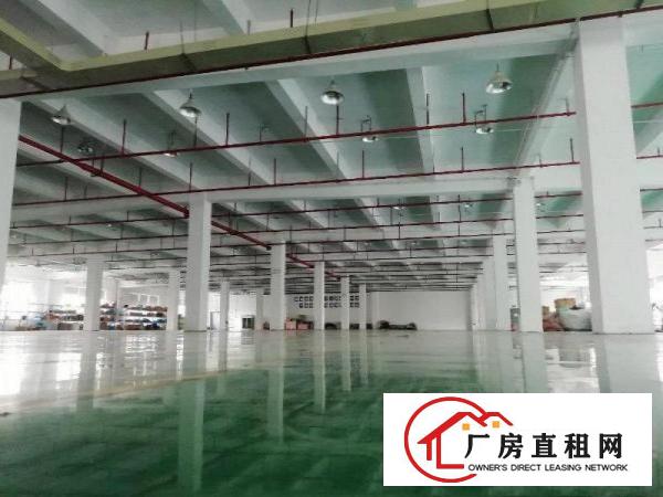  塘厦138工业区标准2楼3900平方！宽敞明亮！形象大气