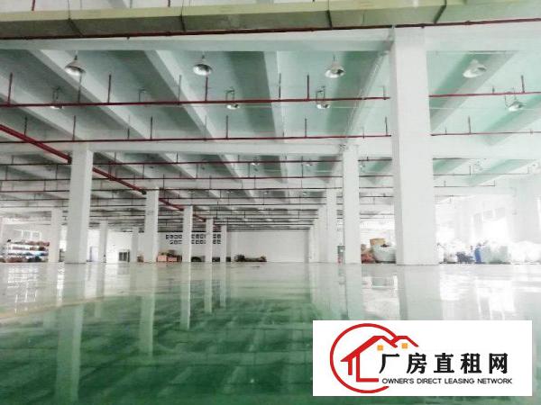  塘厦138工业区标准2楼3900平方！宽敞明亮！形象大气