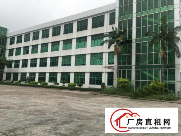  塘厦138工业区标准2楼3900平方！宽敞明亮！形象大气