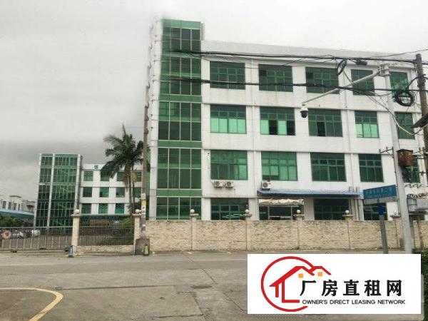  塘厦138工业区标准2楼3900平方！宽敞明亮！形象大气