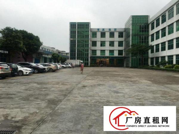  塘厦138工业区标准2楼3900平方！宽敞明亮！形象大气
