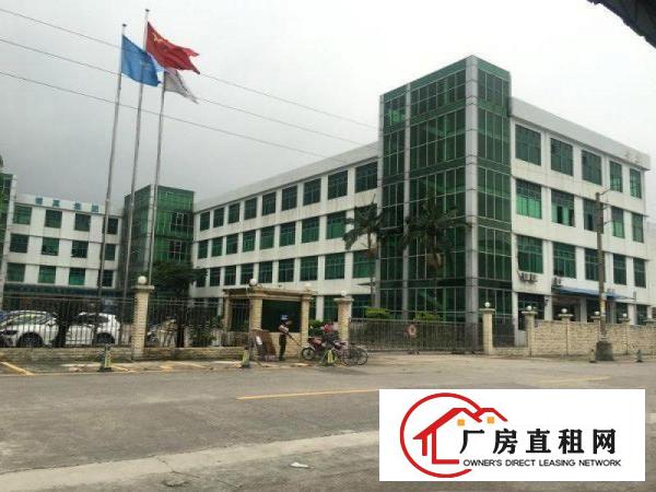 塘厦138工业区标准2楼3900平方！宽敞明亮！形象大气
