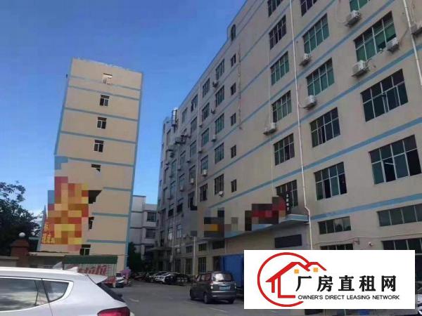  塘厦沙湖楼上2000平，全新装修，地坪漆，格局好！
