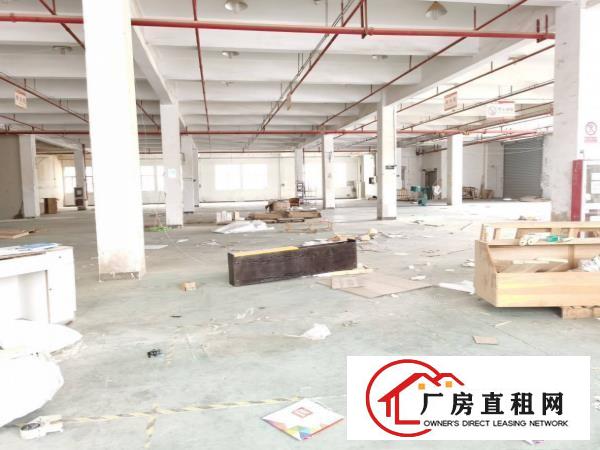  塘厦莲湖独院标准一楼850平适合五金机械设备厂房出租实际面积