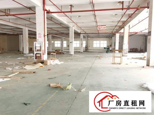  塘厦莲湖独院标准一楼850平适合五金机械设备厂房出租实际面积