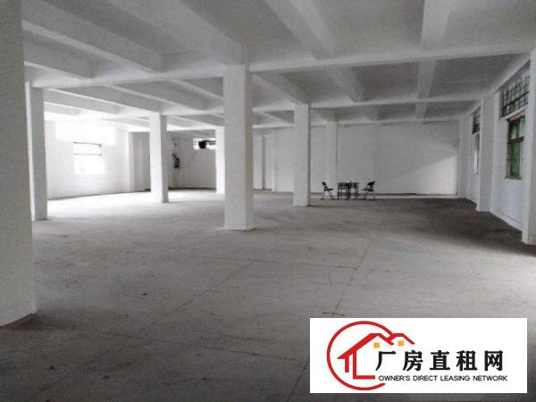  塘厦大坪新出原房东标准厂房一楼500平方，现成水电办公室
