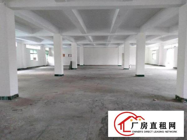  塘厦大坪新出原房东标准厂房一楼500平方，现成水电办公室