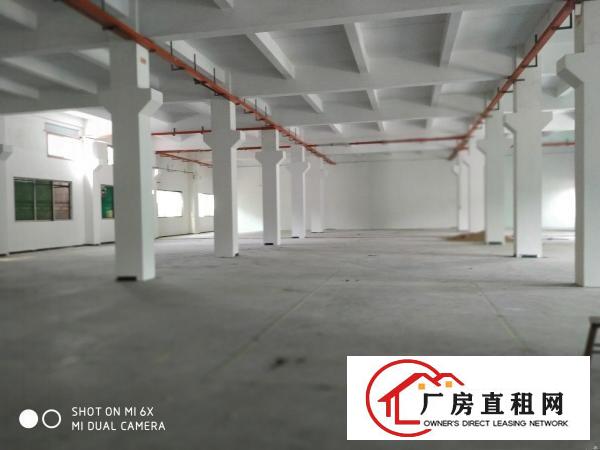  塘厦新出原房东实际面积欧式厂房900平方，可做平漆.喷粉