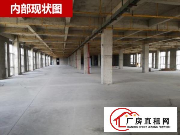  武汉市新洲区问津产业港优质厂房出租