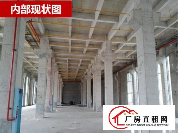  武汉市新洲区问津产业港优质厂房出租