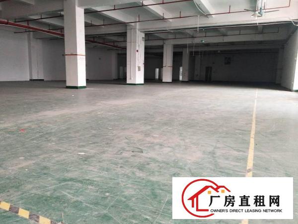  现成装修东莞市塘厦镇沙湖楼上3000平米厂房出租可以分租
