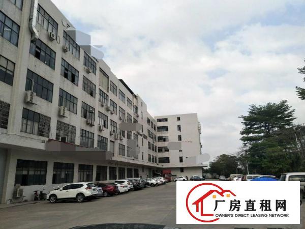  现成装修东莞市塘厦镇沙湖楼上3000平米厂房出租可以分租