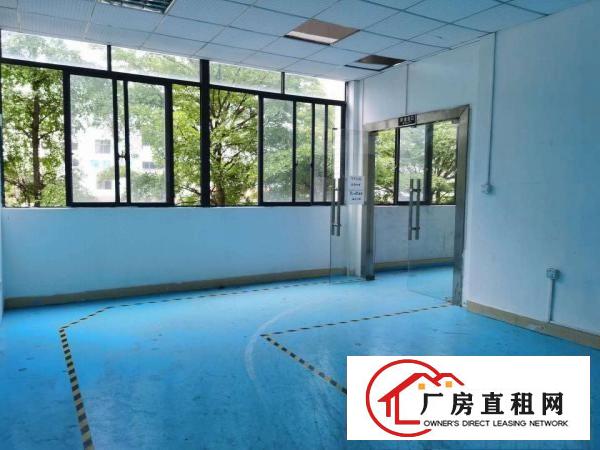  塘厦沙湖新出原房东无尘车间300平方，可做口罩