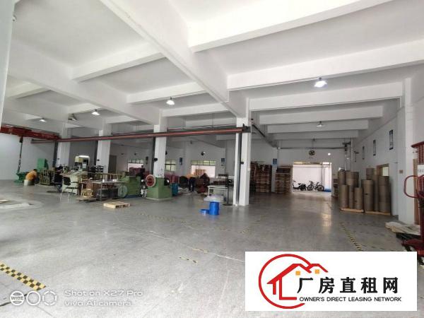  塘厦凤凰岗新出标准一楼1700平方水电齐全带装修交通便利