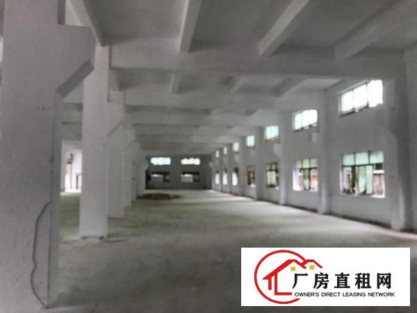  塘厦沙湖独院厂房8480平方米