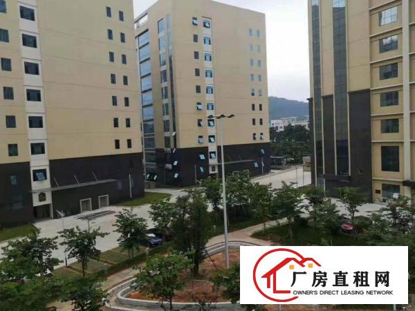  塘厦沙湖原房东15万平方红本厂房出租高新产业园大小分租