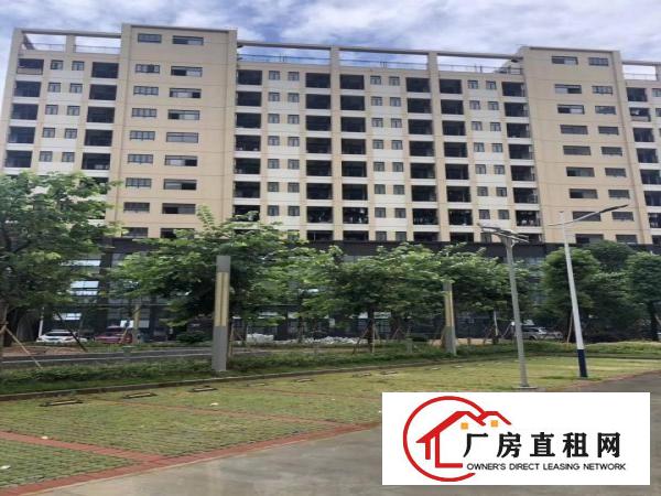  塘厦沙湖原房东15万平方红本厂房出租高新产业园大小分租