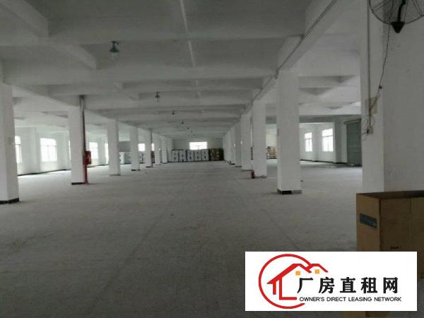  塘厦振兴围原房东实际面积500平方出租，价格便宜