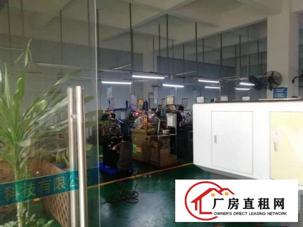  塘厦东深二线附近一楼厂房750平方，现成办公室，消防喷淋