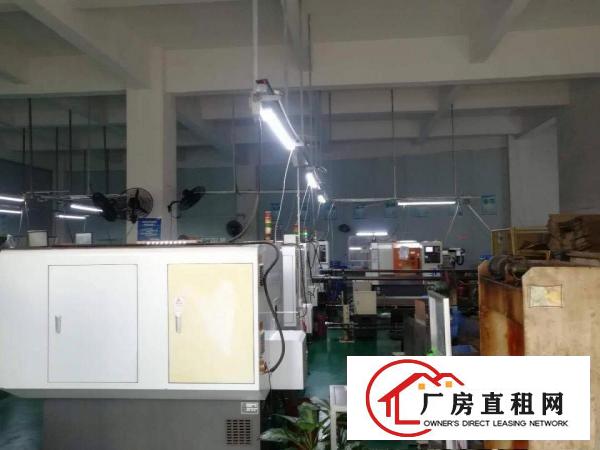  塘厦东深二线附近一楼厂房750平方，现成办公室，消防喷淋