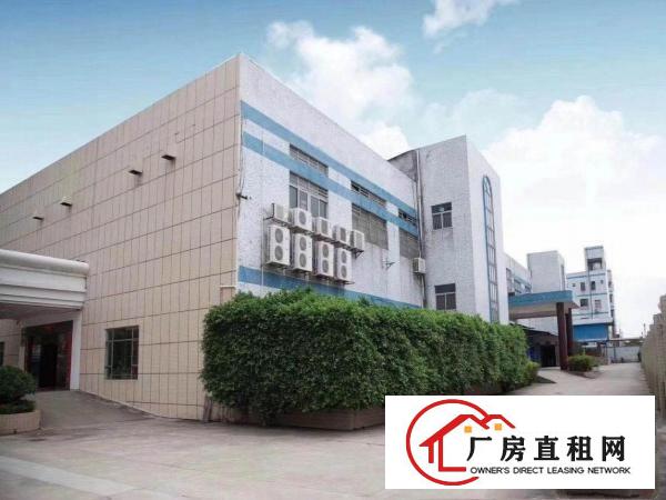  塘厦镇石潭布独门独院，原房东实际面积，花园式厂房，地段优越