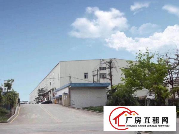  塘厦镇石潭布独门独院，原房东实际面积，花园式厂房，地段优越