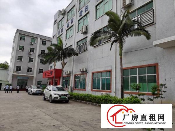  塘厦镇新出标准一楼2000平，高度7米，可分租