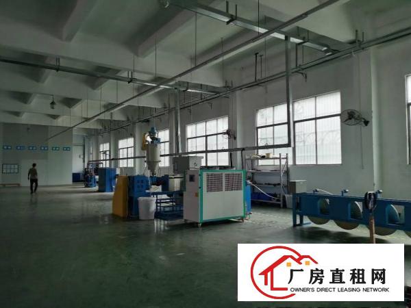  塘厦镇新出标准一楼2000平，高度7米，可分租