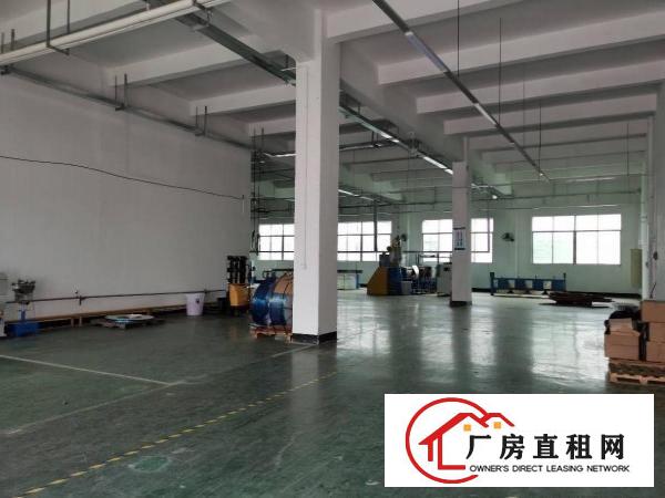  塘厦镇新出标准一楼2000平，高度7米，可分租