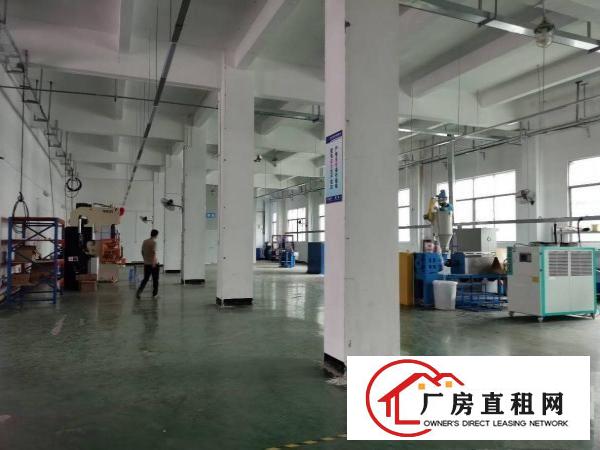  塘厦镇新出标准一楼2000平，高度7米，可分租