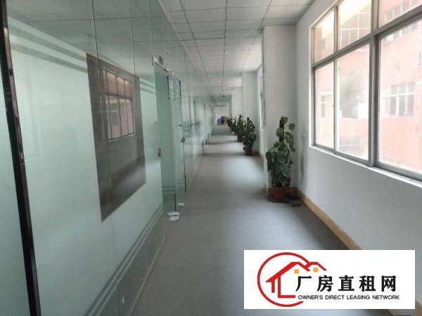  科苑城新出精装修900平方