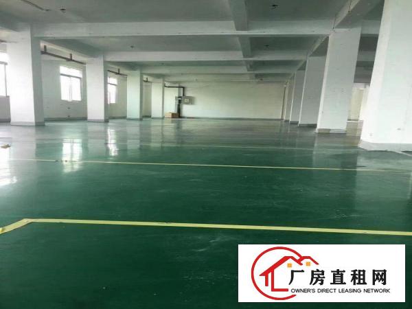  塘厦凤凰岗独院标准2楼1200平方！双面采光！形象好空地超大