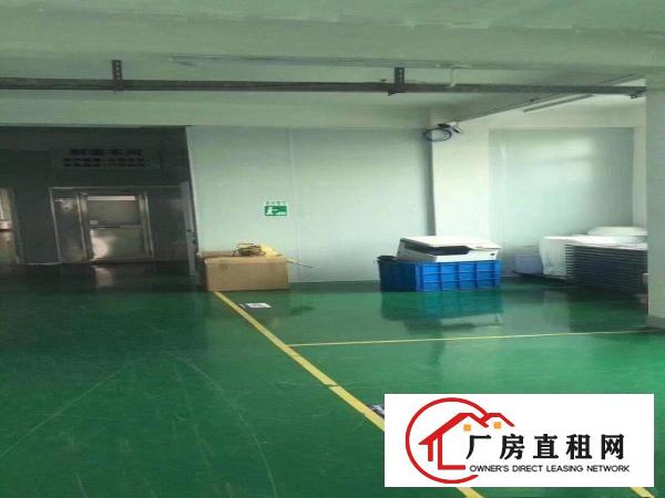  塘厦凤凰岗独院标准2楼1200平方！双面采光！形象好空地超大