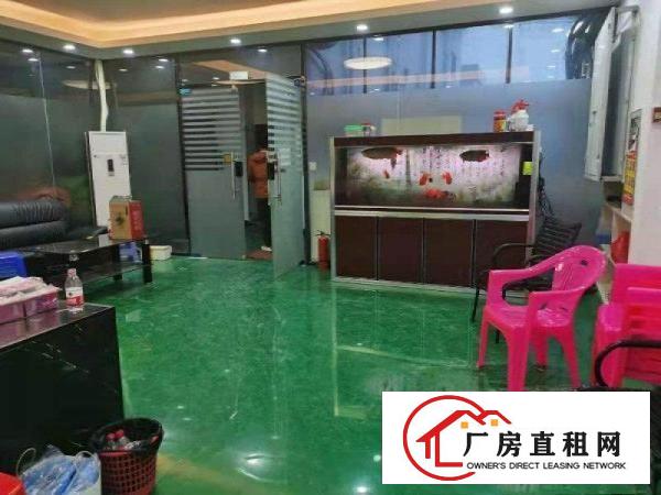  塘厦清湖头楼上300平方出租，可做电子，万级无尘车间