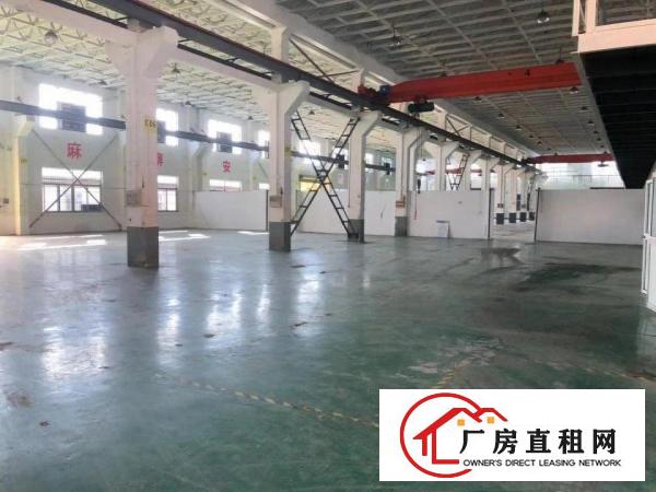  塘厦莲湖单一层小独院2800平方！滴水8米！空地超大
