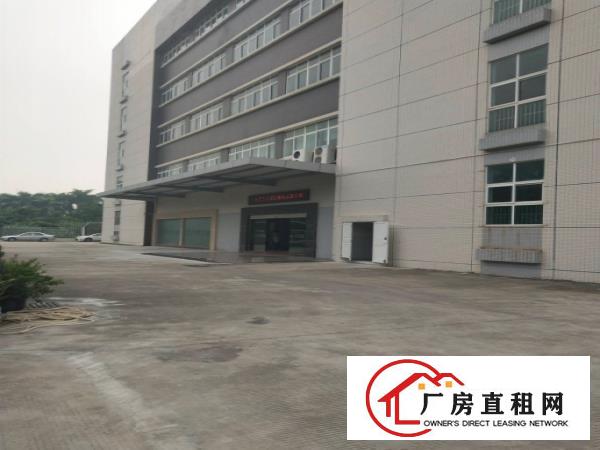  塘厦138刚空出2600平标准楼上，带装修地坪漆，电梯直达