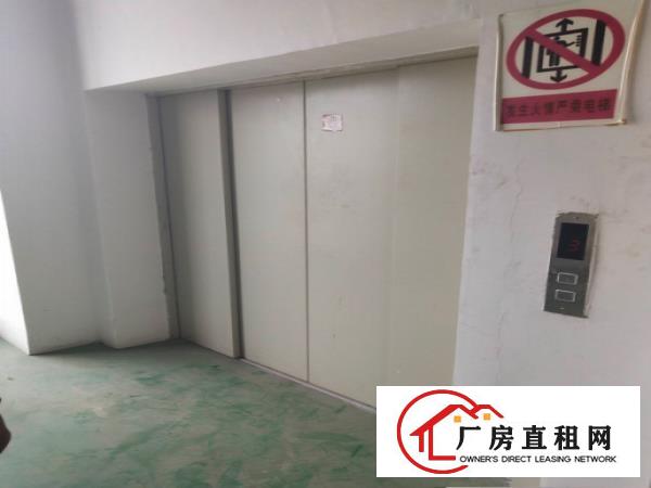  塘厦138刚空出2600平标准楼上，带装修地坪漆，电梯直达