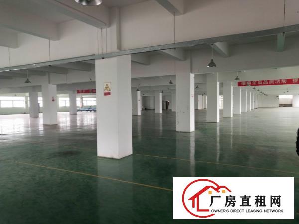  塘厦138刚空出2600平标准楼上，带装修地坪漆，电梯直达