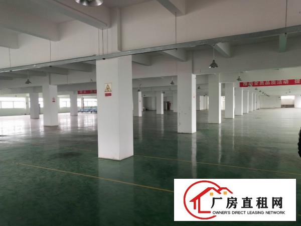  塘厦138刚空出2600平标准楼上，带装修地坪漆，电梯直达