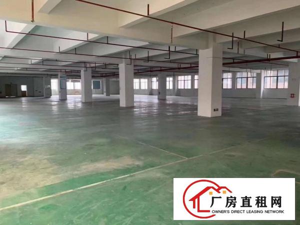  塘厦高端产业园独栋厂房9500平方，500平起可分租