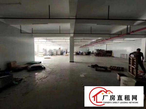  塘厦高端产业园独栋厂房9500平方，500平起可分租