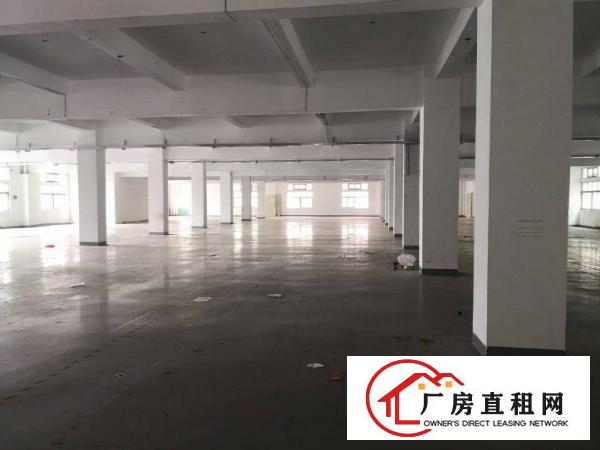  塘厦林村新出原房东二楼厂房1870平方，现成地坪漆办公室装修